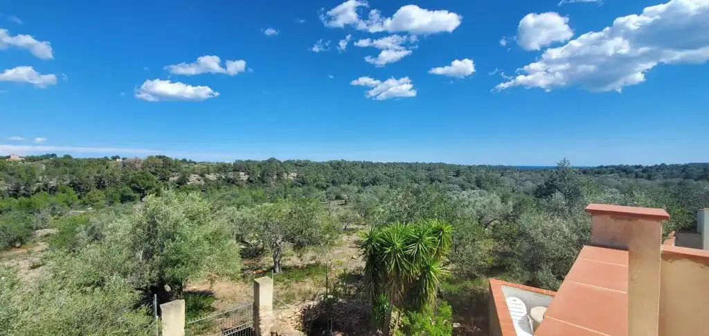Finca rústica en venda a L'Ametlla de Mar pueblo