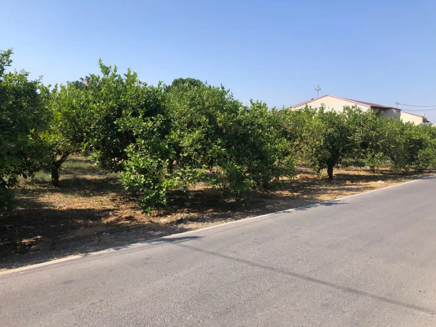Residencial en venda en Murcia