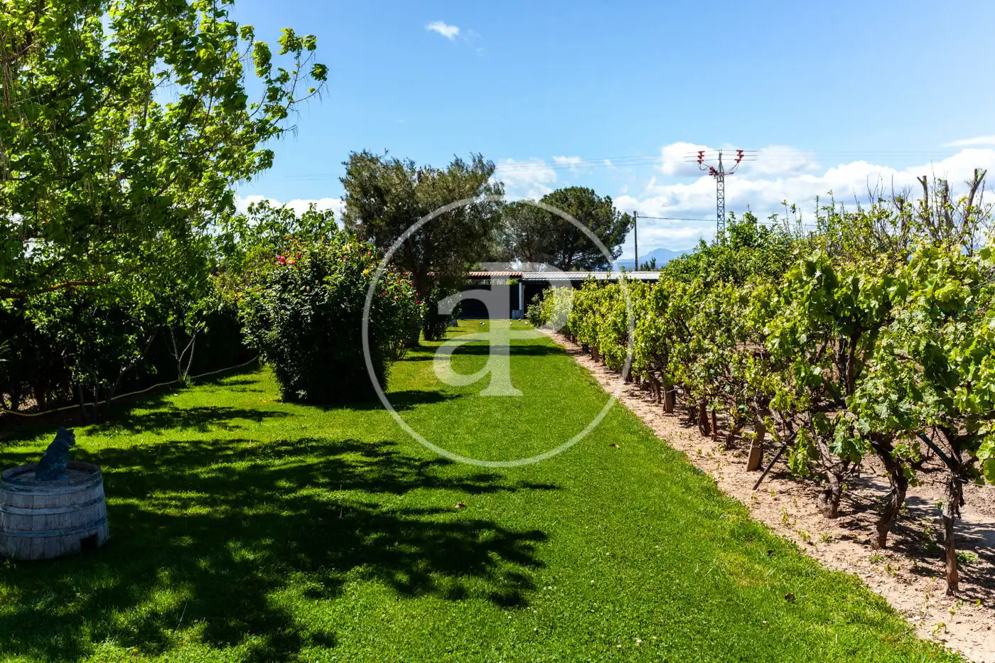 Jardí de Casa o xalet en venda en Fuente El Saz de Jarama amb Calefacció, Jardí privat i Terrassa