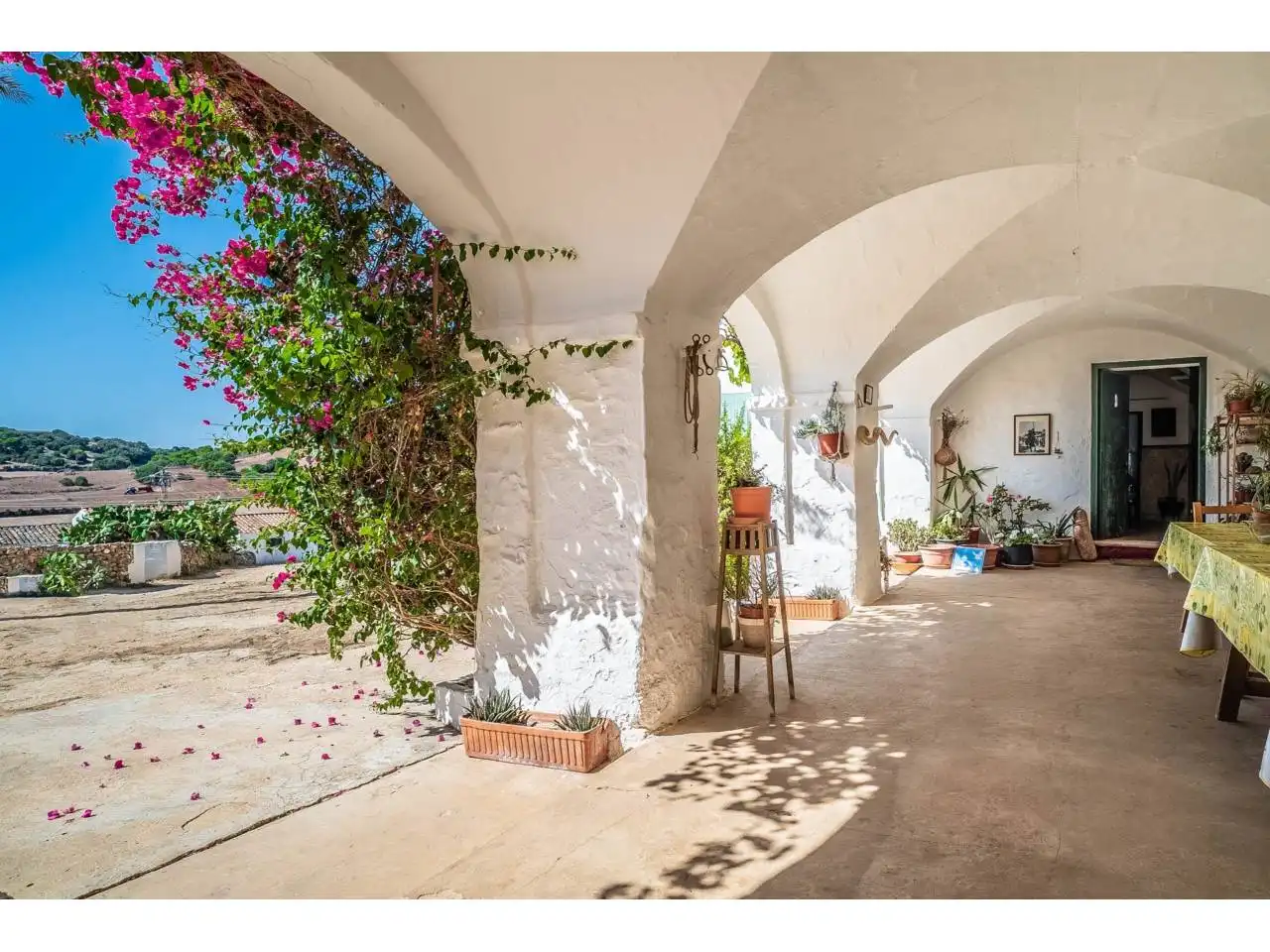 Rural land for sale in Ciutadella, imagen 4