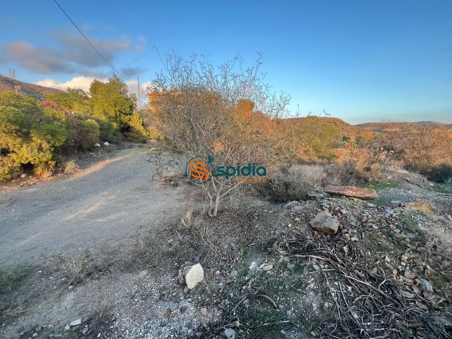 Terreny residencial en venda a Tébar - Los Arejos, imagen 5