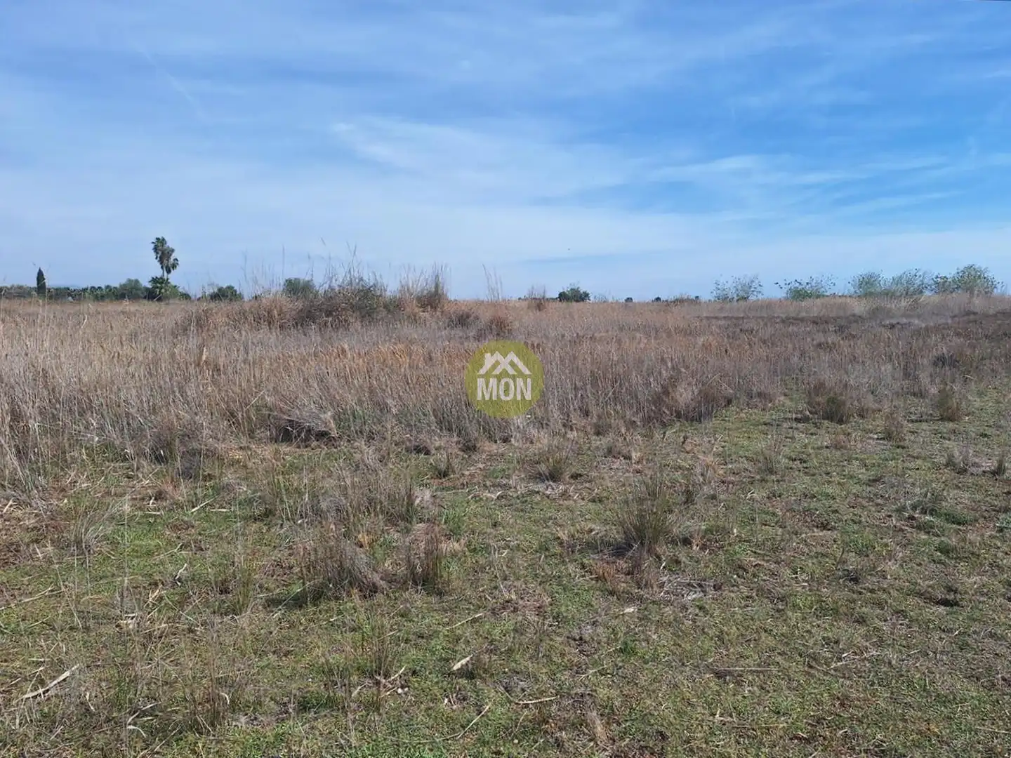 Terreny residencial en venda a Playa del Puig, imagen 11