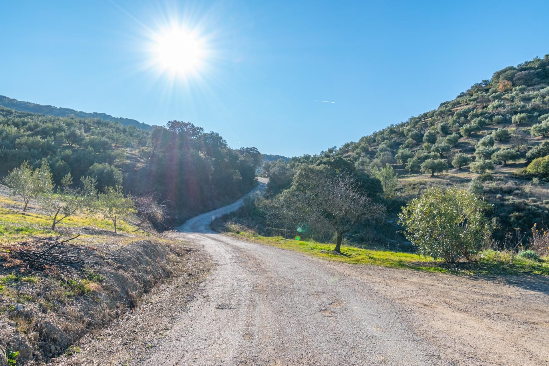 Exterior view of Land for sale in Alcaudete