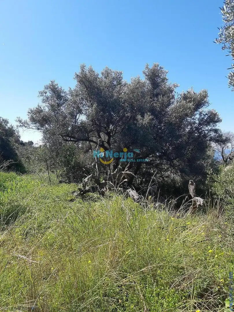Terreni e lotti in vendita a Torrox Pueblo, imagen 12