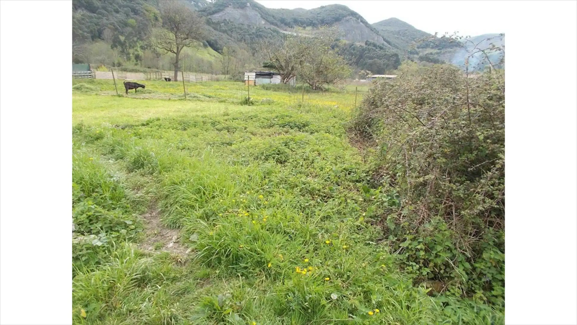 Terreni e lotti in vendita a Liendo