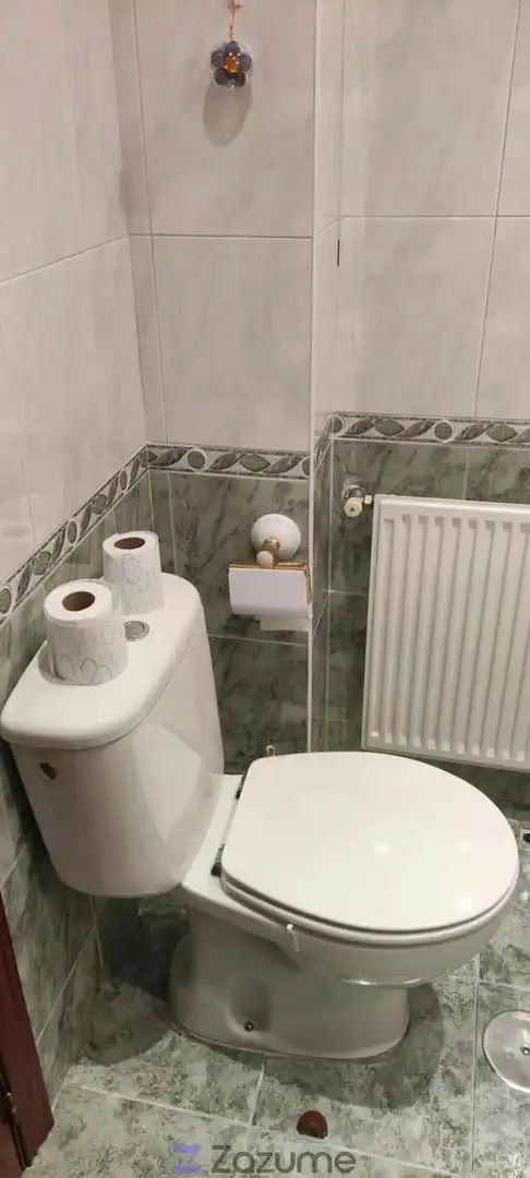 Bathroom of Apartments for rent in León Capital   with Parquet flooring, Storage room and Furnished