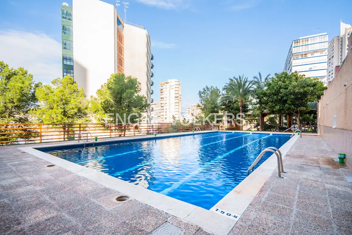Apartment mit Pool zur Miete in Calle Alcalde Manuel Catalán Chana 7, imagen 22