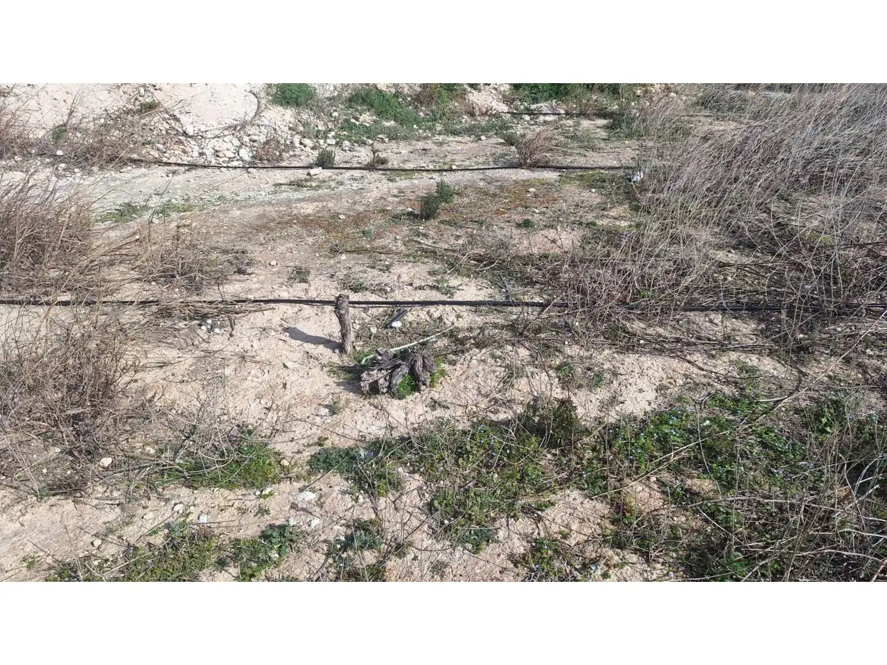 Terreny residencial en venda a Pasaje La Cascarra, imagen 10