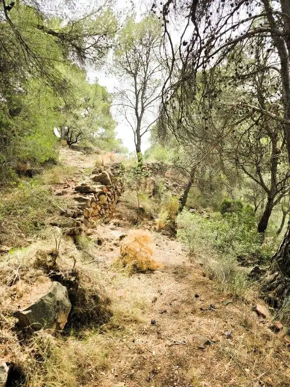 Wohnbaugrundstück zum Verkauf in Carrer Canteres 18, imagen 14