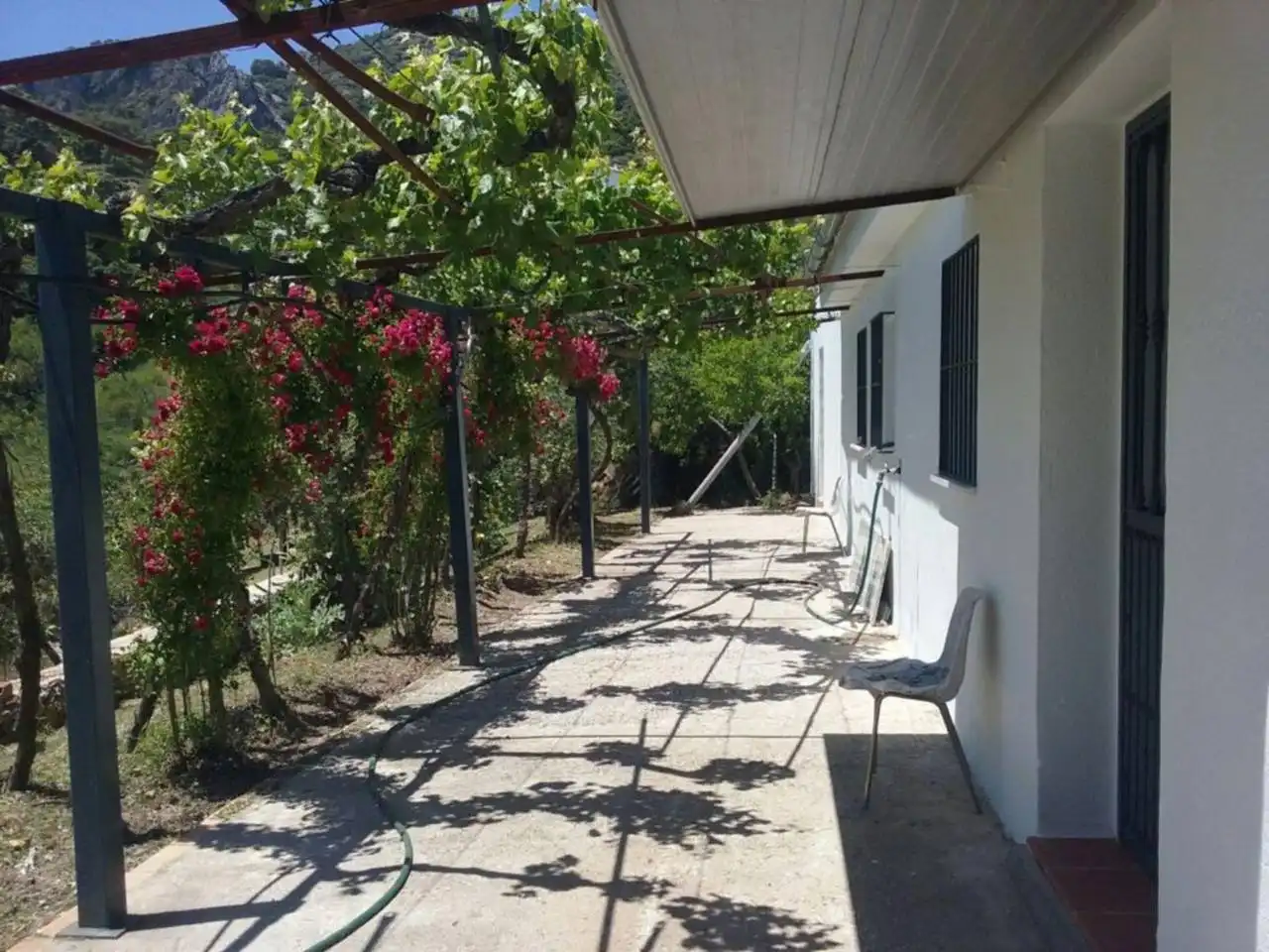 Terraza de Finca rústica en venta en Algatocín
