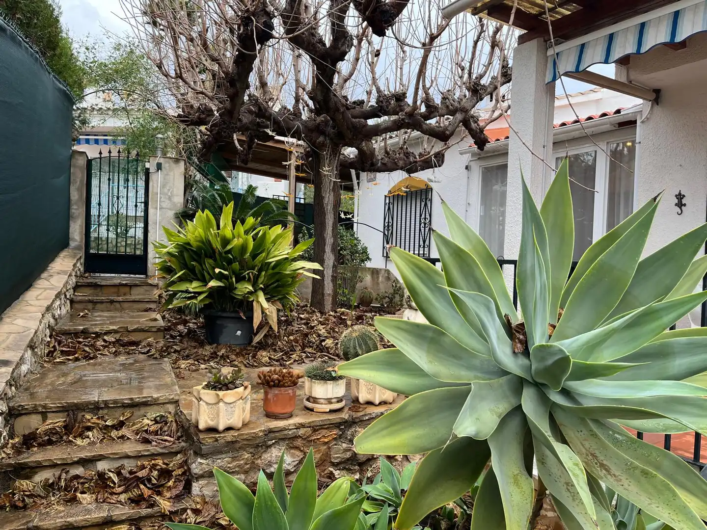 Terraza de Casa o chalet en venta en Peñíscola / Peníscola con Jardín privado, Terraza y Amueblado