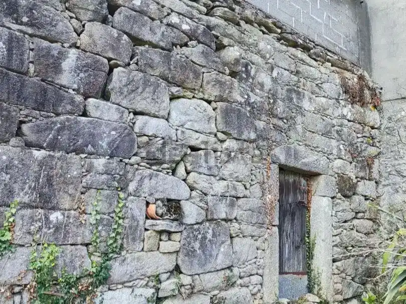 Vista exterior de Casa o xalet en venda en Dodro