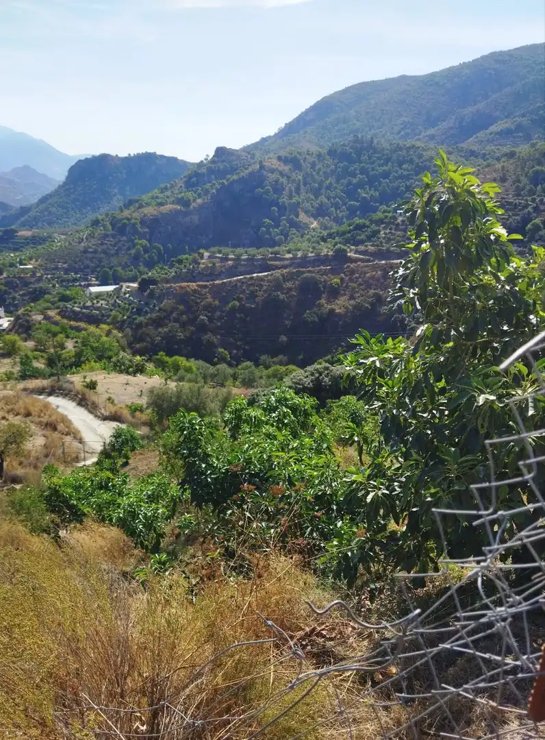 Vista exterior de Finca rústica en venta en Motril con Jardín privado