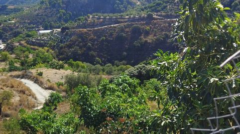 Foto 5 de Finca rústica en venta en Motril ciudad, Motril