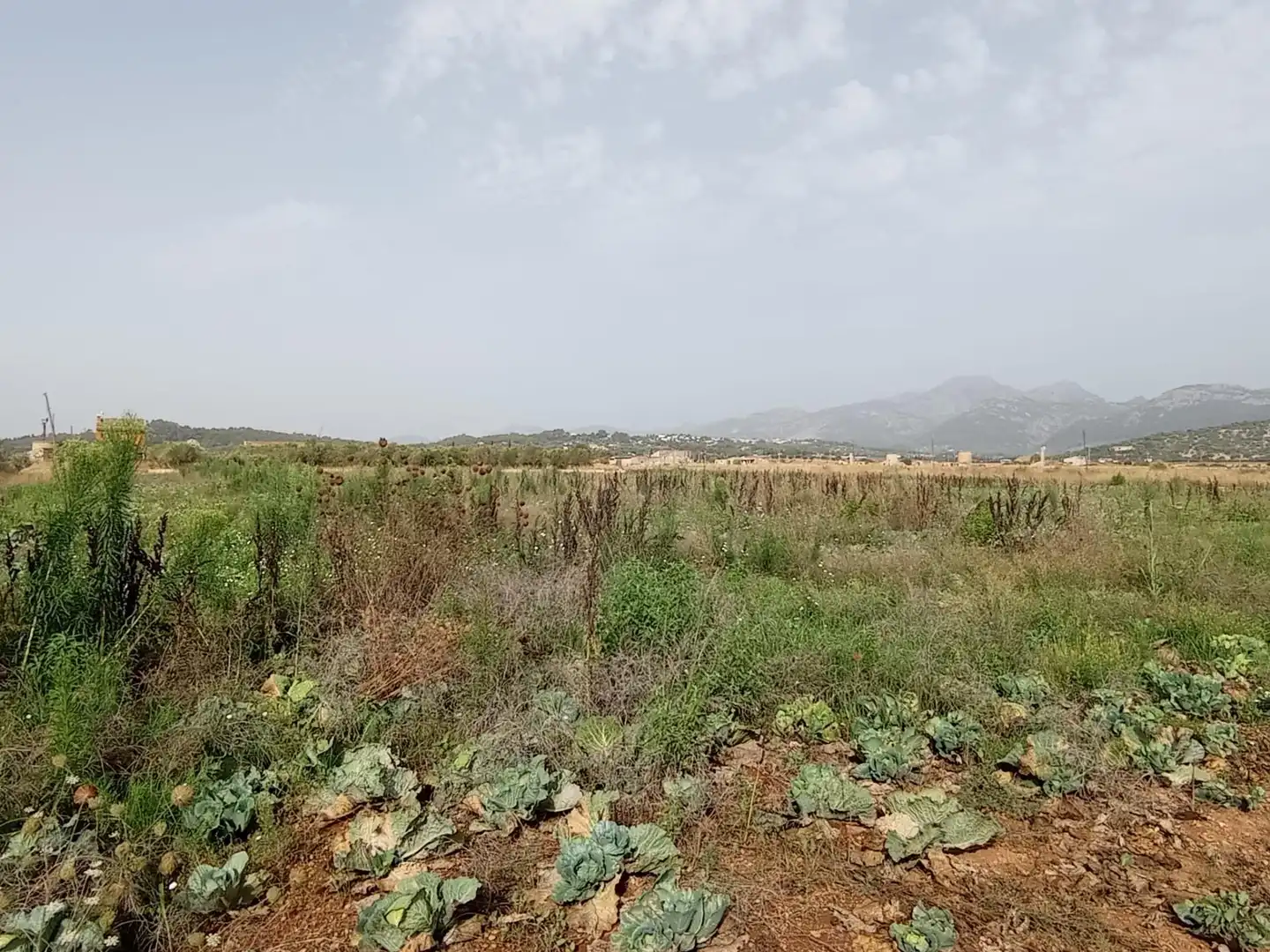 Residencial en venta en Búger