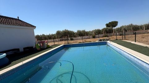Photo 3 of Country homes for sale in Pedanías Norte, Utrera
