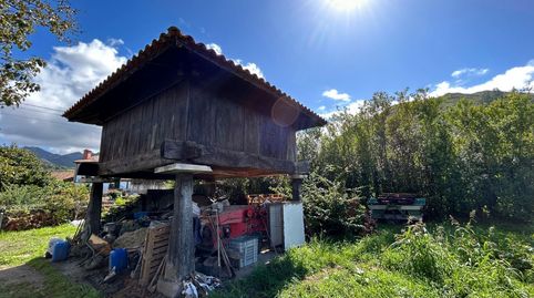 FINCA EDIFICABLE CON HORREO, imatge 3