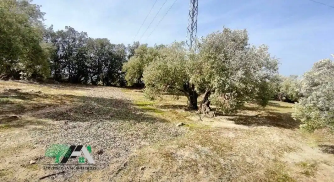 Terrenos y solares en venta en Úbeda, imagen 2