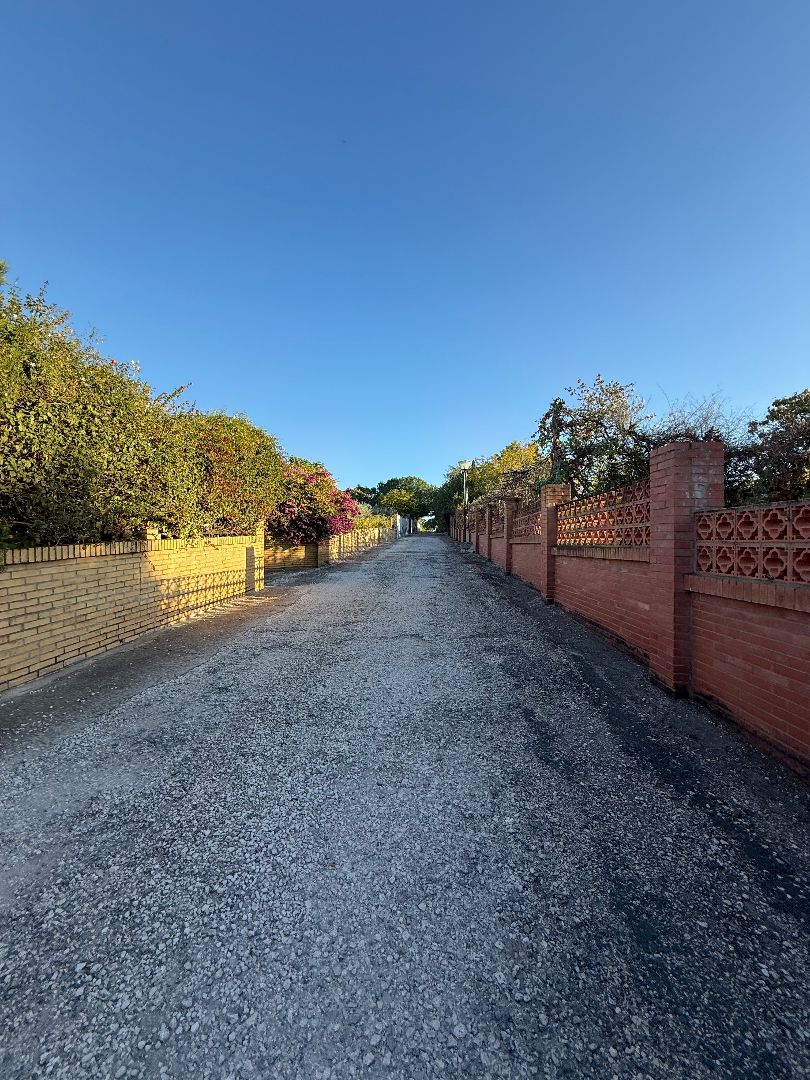 Vista exterior de Casa o xalet en venda en Carmona amb Aire condicionat, Jardí privat i Piscina