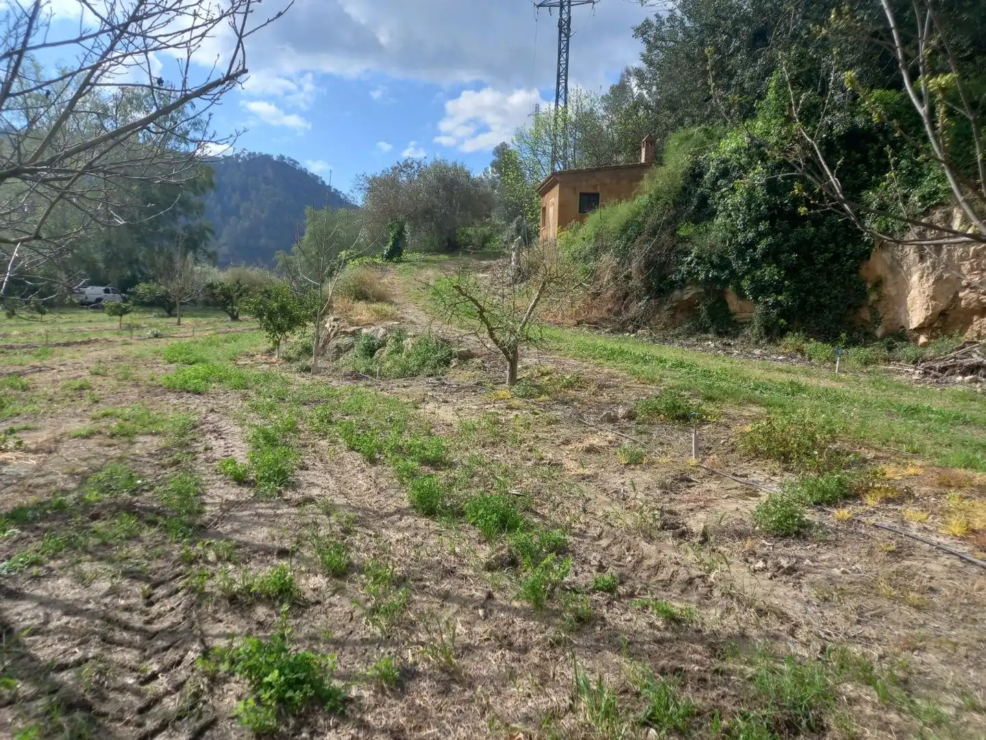 Terreny rústic en venda a Miravet, imagen 29