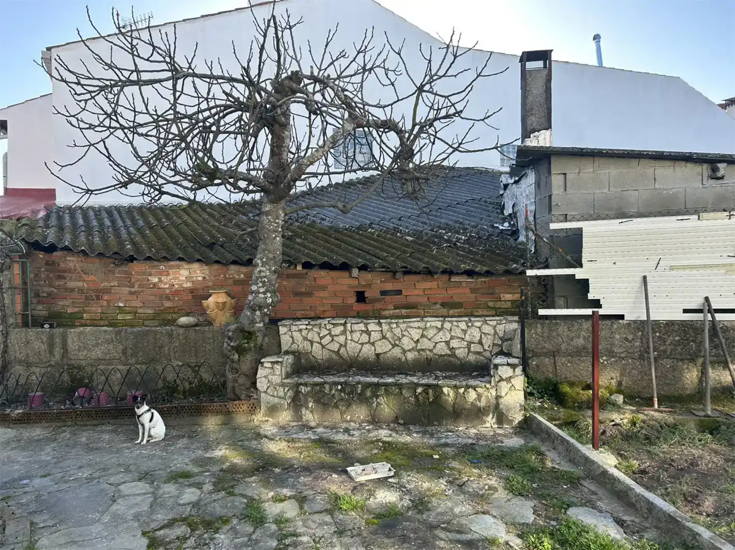 Vista exterior de Planta baixa en venda en O Carballiño   amb Jardí privat, Traster i Moblat