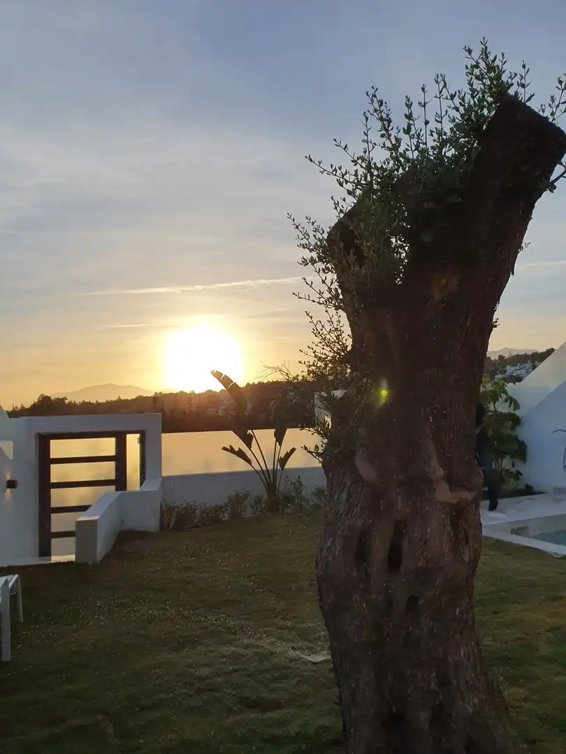 Haus mit Pool zum Verkauf in Marbella Centro, imagen 22