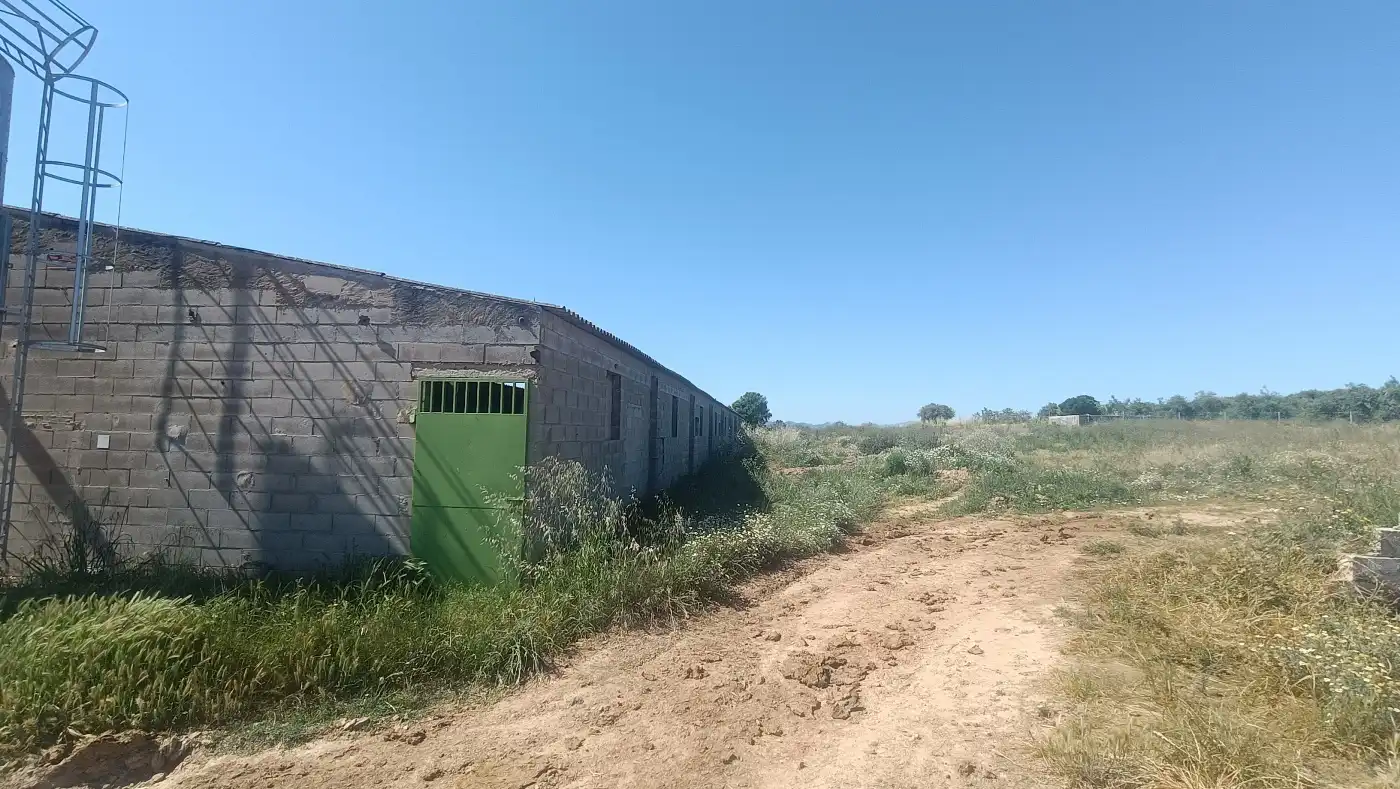 Nau industrial en venda en Marçà