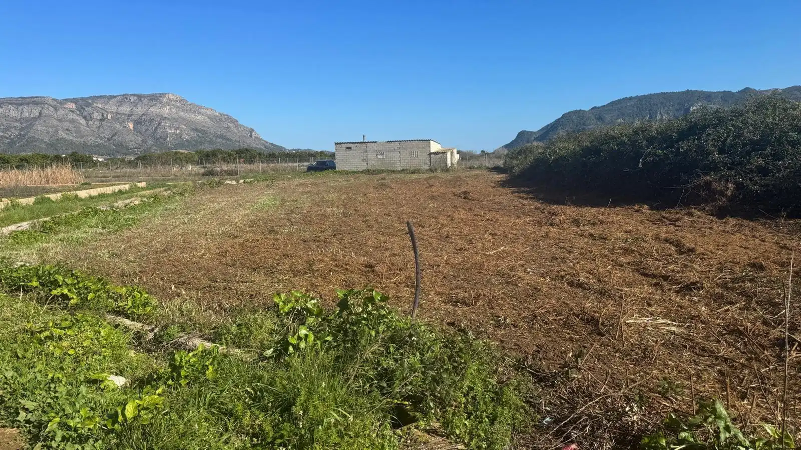 Finca rústica en venta en Simat de la Valldigna