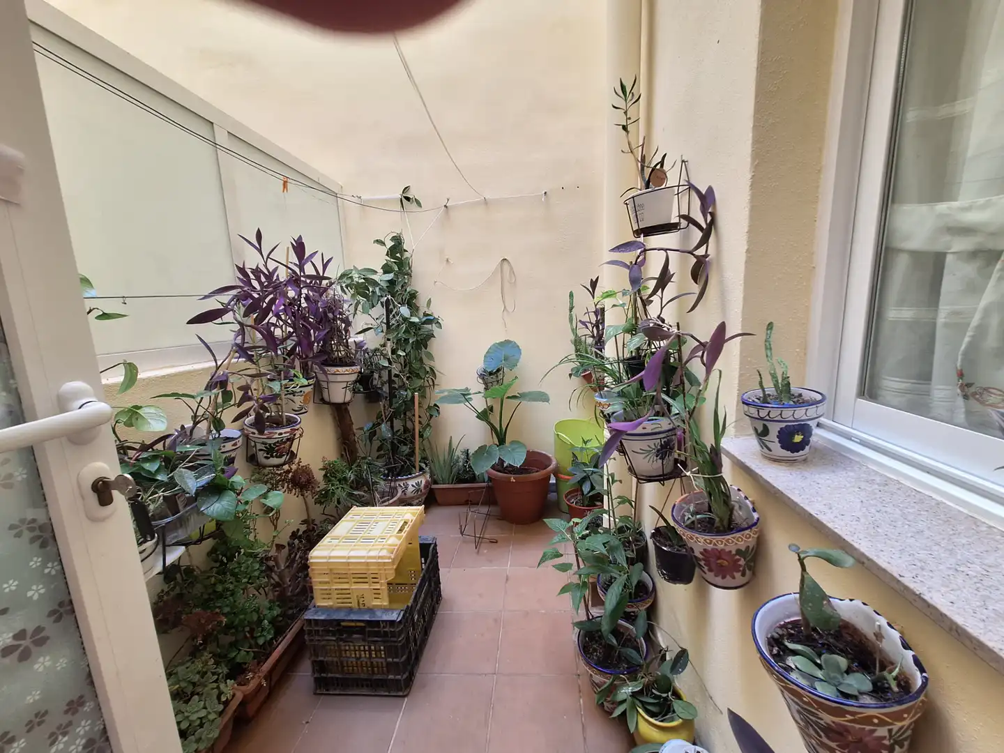 Terrassa de Planta baixa en venda en Riola amb Aire condicionat