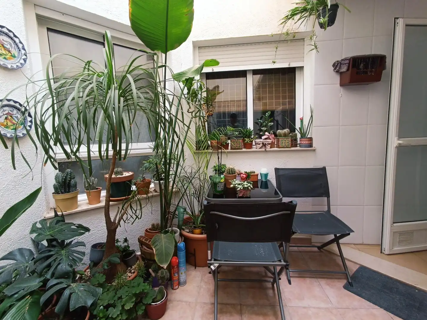 Apartment for sale in Casco Antiguo, imagen 13