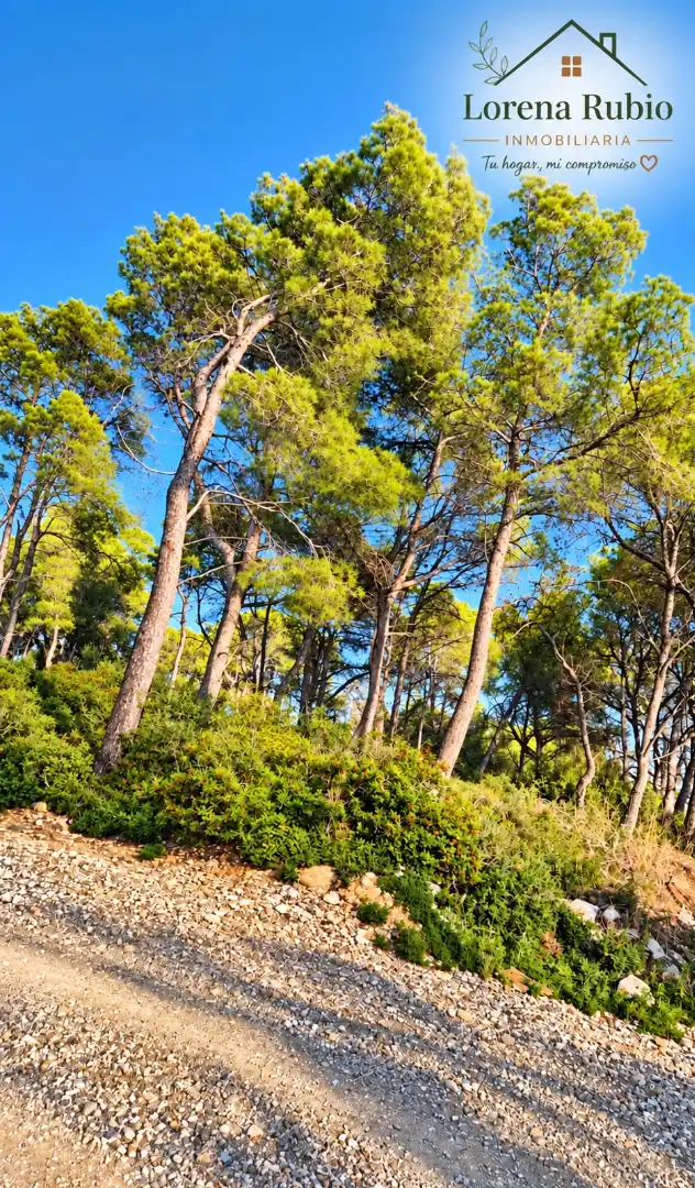 Terreno residencial en venta en La Bisbal del Penedès, imagen 2