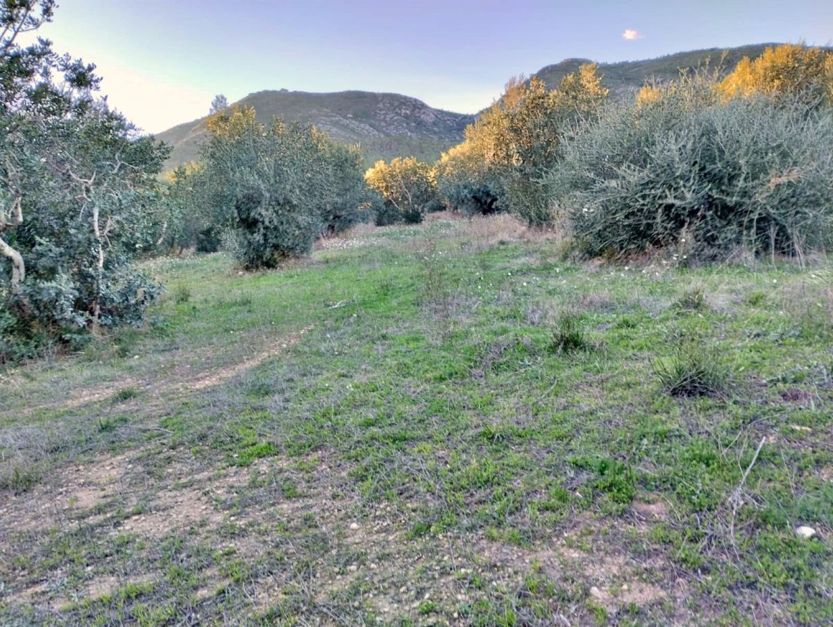 Finca rústica en venta en Xerta