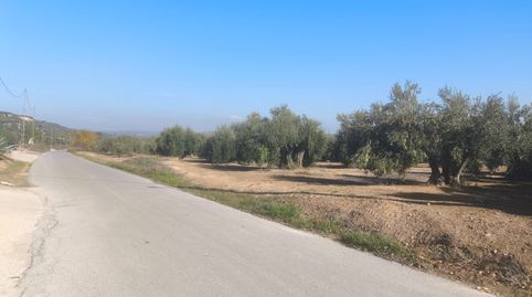 Se vende gran solar junto al municipio de Mengibar, immagine 3