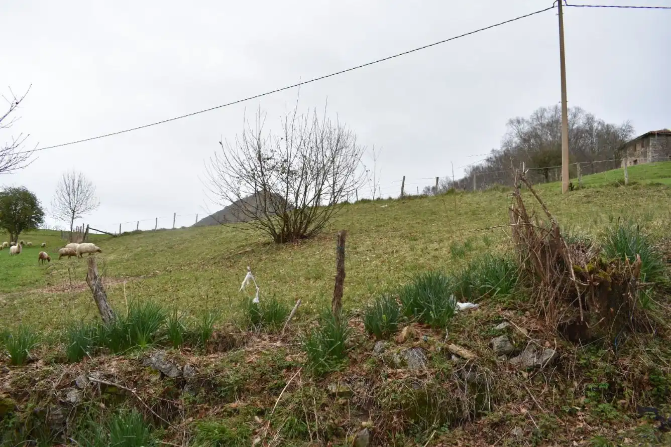 FINCA EDIFICABLE A 15 KM DE CANGAS DE ONIS, imatge 2