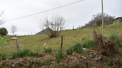 FINCA EDIFICABLE A 15 KM DE CANGAS DE ONIS, imatge 2