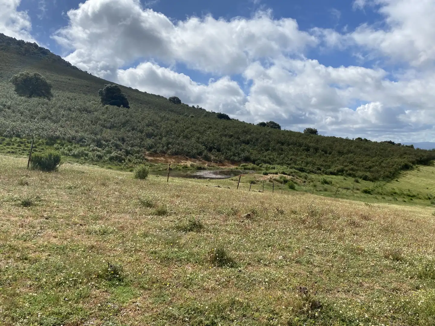 Terreno en venta en Deleitosa