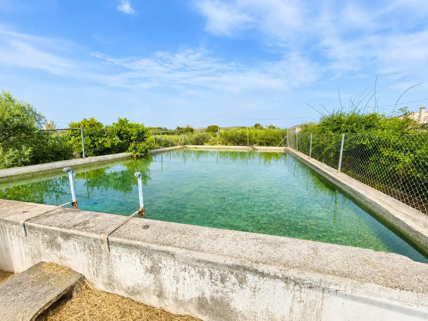Swimming pool of Country homes for sale in Cehegín  with Terrace and Swimming Pool