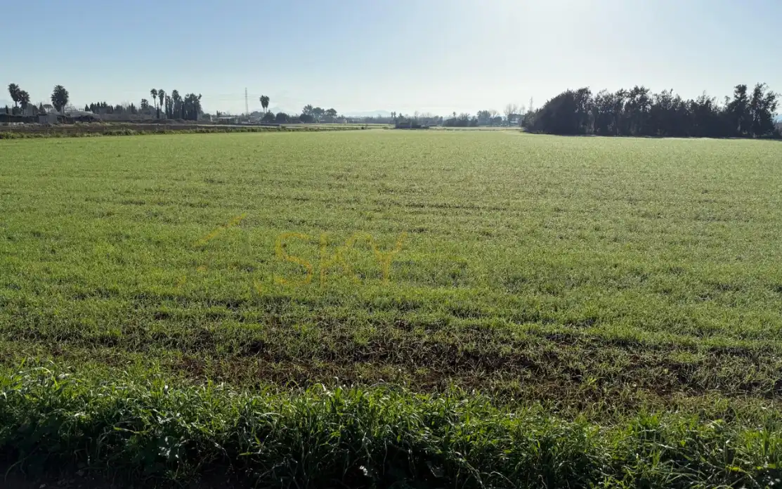 Rural land for sale in Carrer de Sa Plaça 16, imagen 2