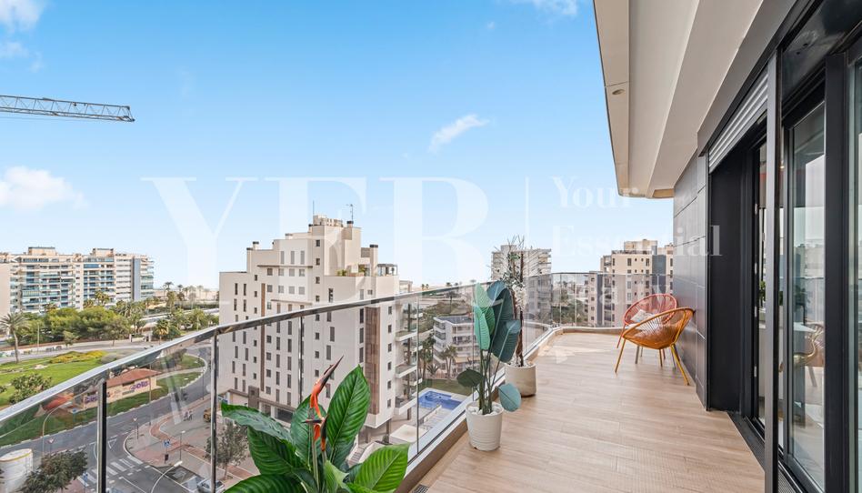 Photo 1 of Attic for sale in Periodista Tirso Marín, 4, PAU 5, Alicante