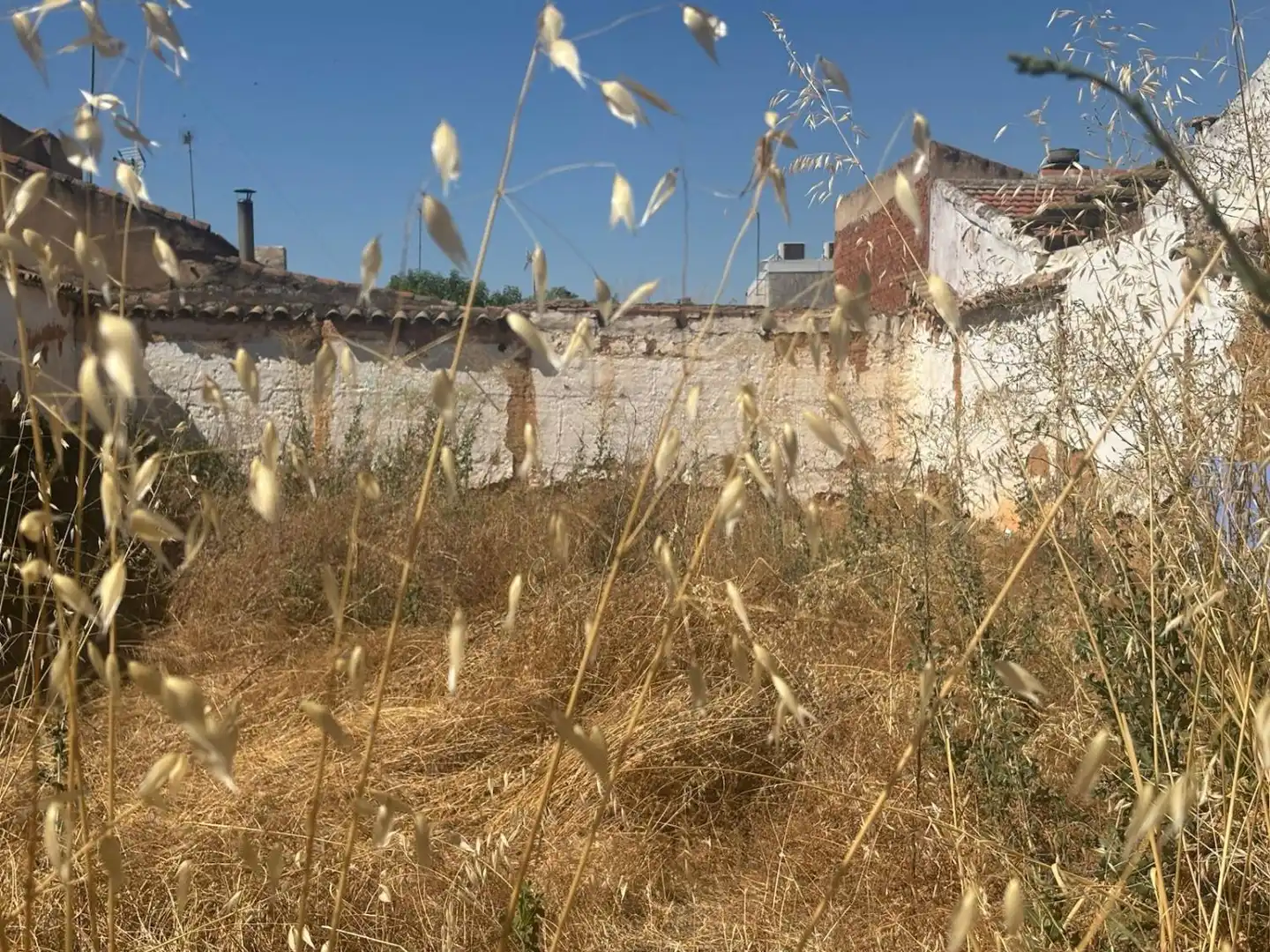 Grundstücke und Bauplätze zum Verkauf in Malagón, imagen 2