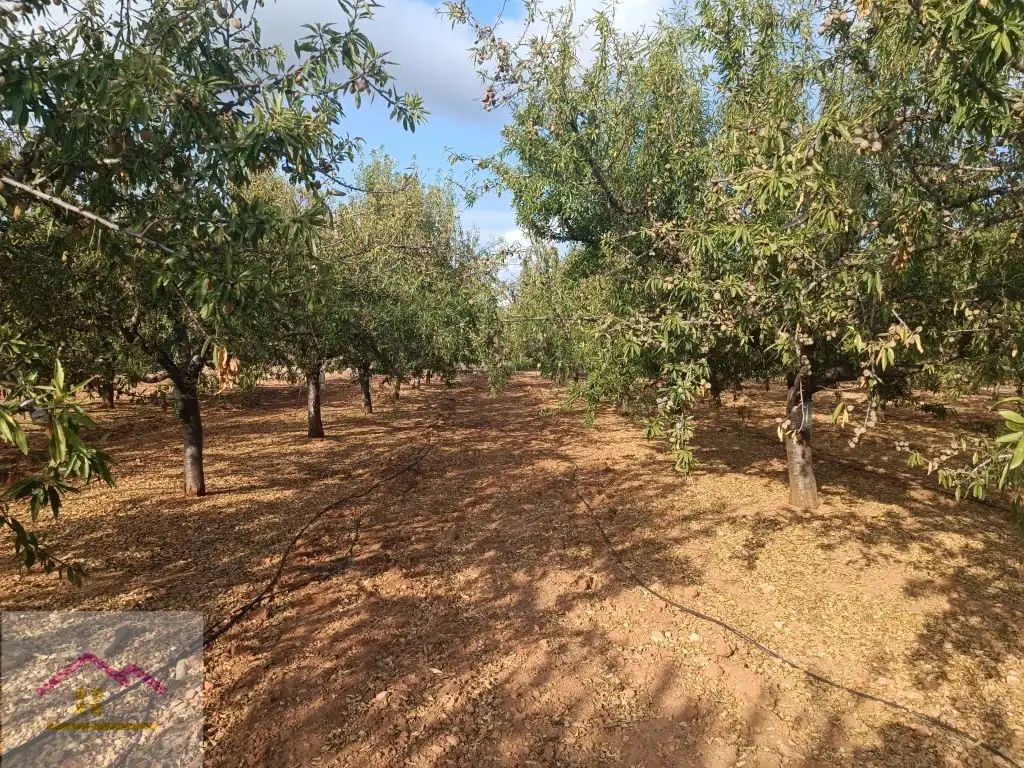 Finca rústica en venda a Calle Oropesa, 14, Torreblanca