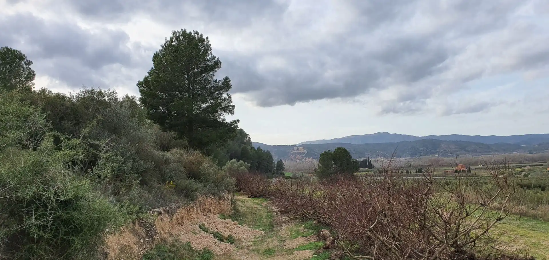 Rural land for sale in Ginestar, imagen 8