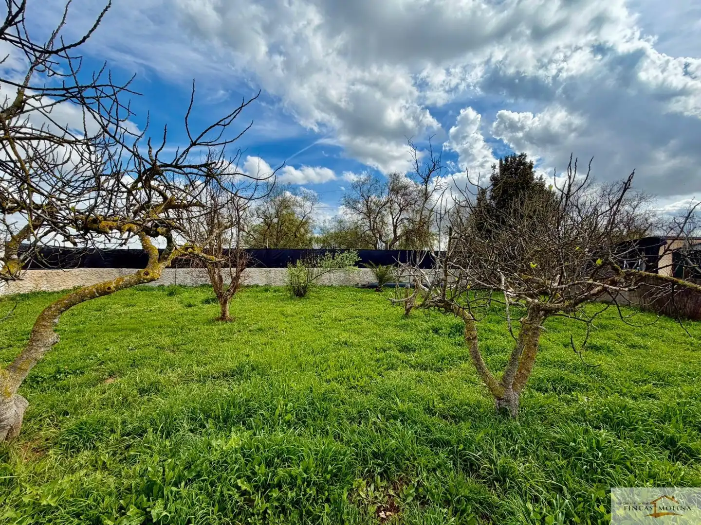 Country house for sale in Llevant, imagen 4