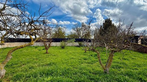 Foto 4 de Finca rústica en venta en Sa Casa Blanca, Palma de Mallorca