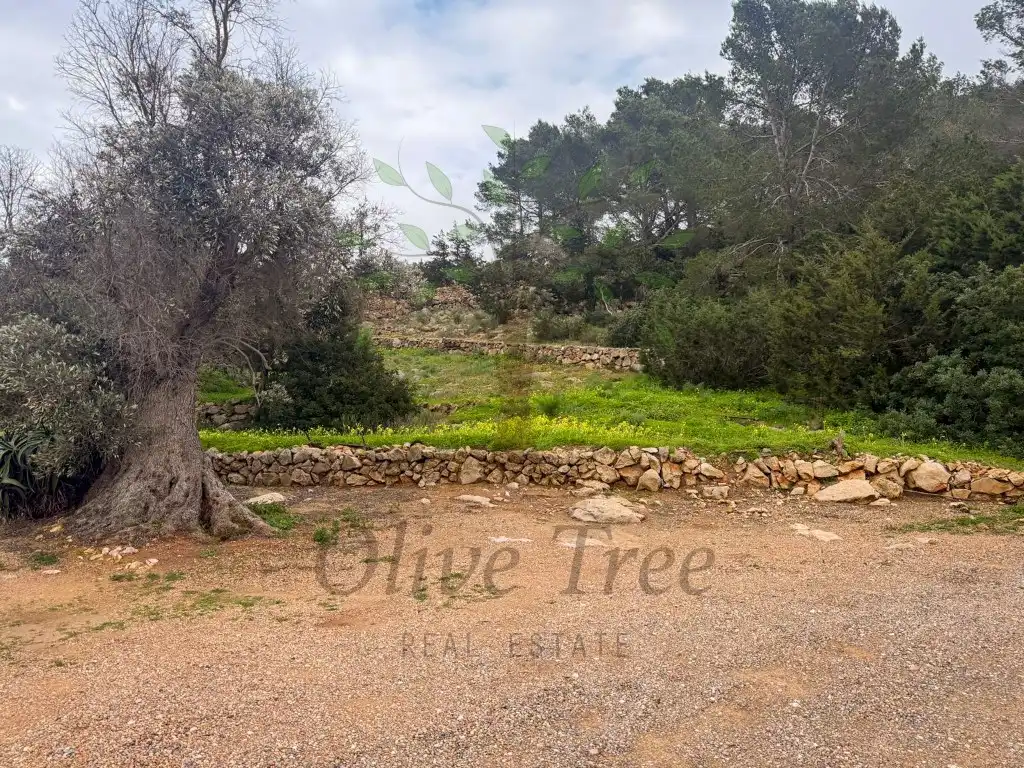 Houses for rent in Sant Joan de Labritja  with Swimming Pool