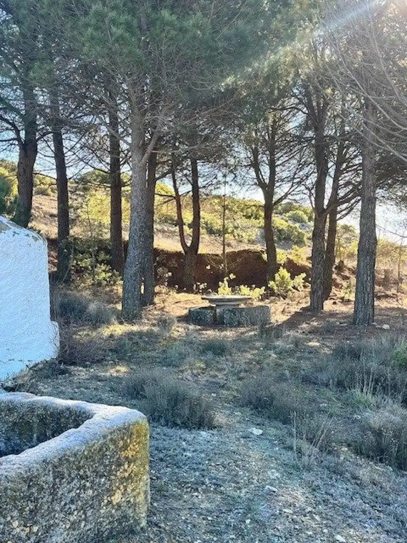 Country homes for sale in Higueruela