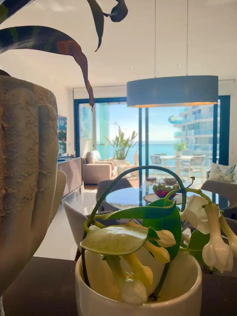 Comedor de Apartamento en venta en Torrevieja con Aire acondicionado, Calefacción y Terraza