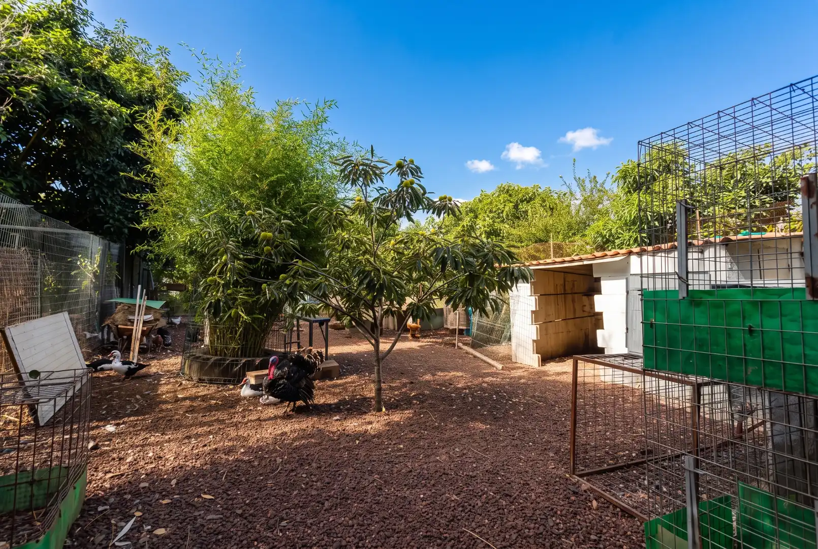 Casa o xalet en venda en Guamasa - El Ortigal - Los Rodeos