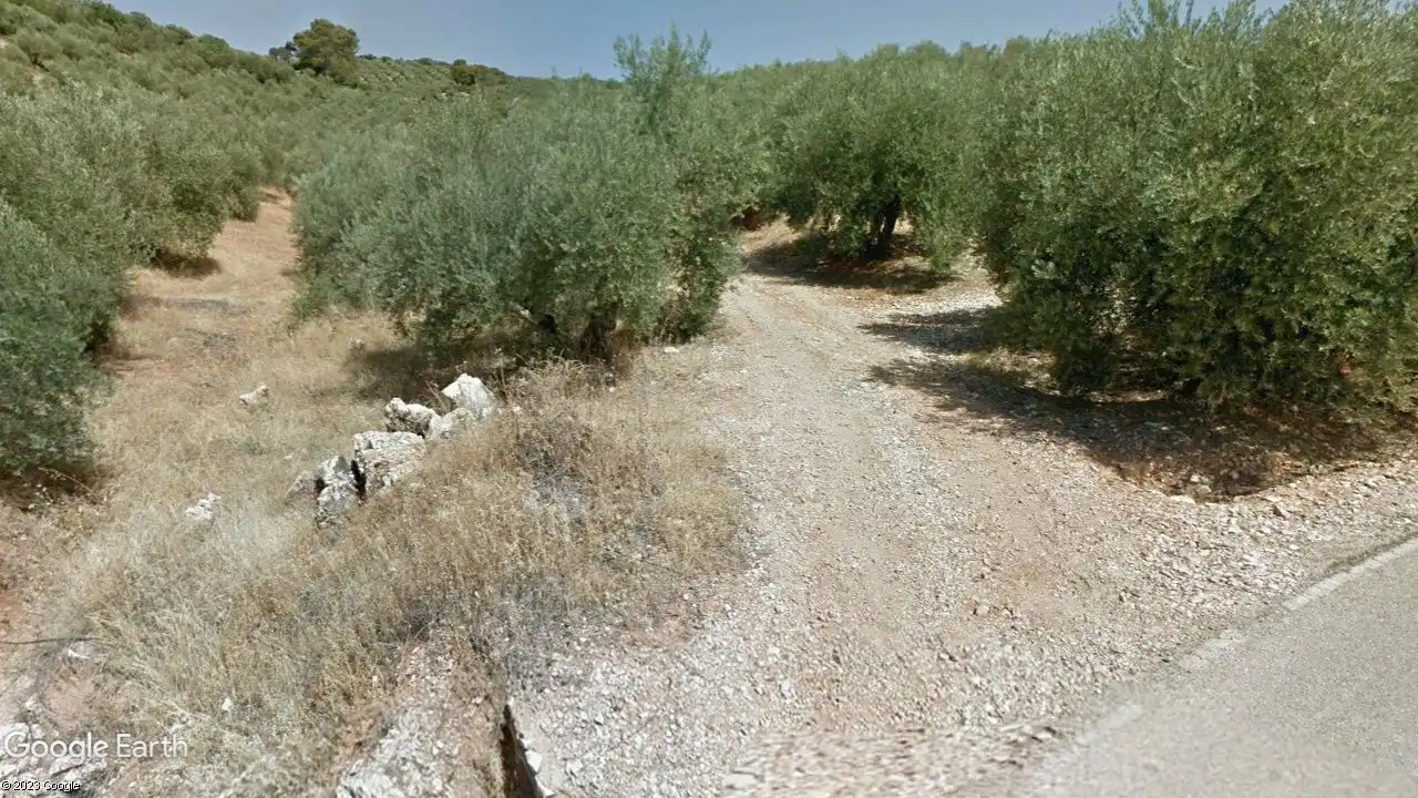 Terreni e lotti in vendita a Beas de Segura
