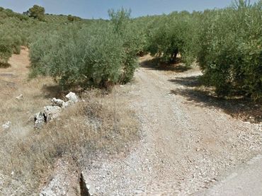 Terreny rústic en venda a Beas de Segura